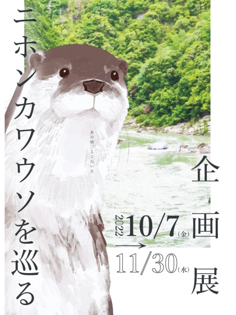 香川県のおすすめ観光イベントランキング 毎日更新 ゆこゆこ