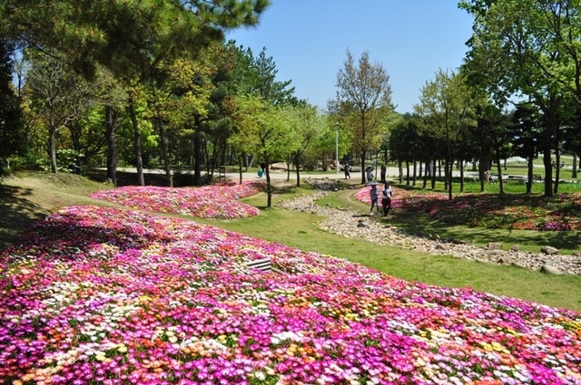 淡路島国営明石海峡公園　春のカーニバル