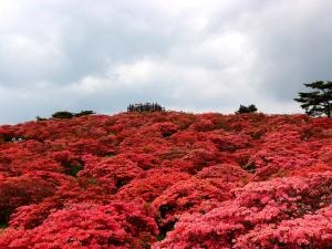 高柴山山開き