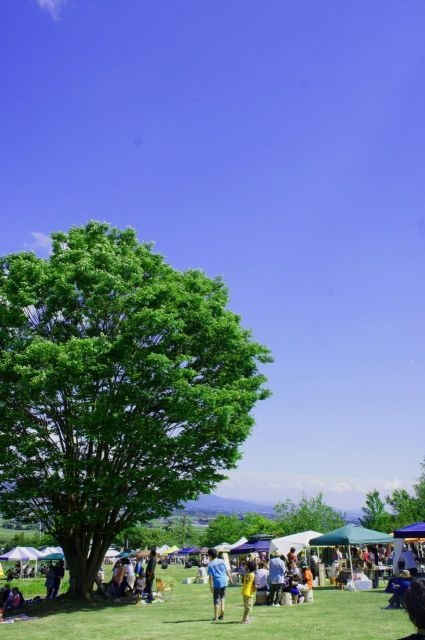 ポラーノまつり2025