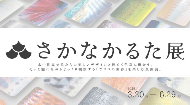 さかなかるた展