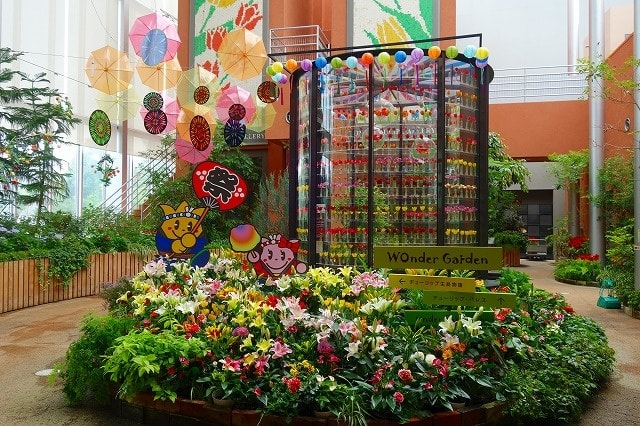 季節展示「夏の庭」