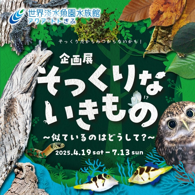 企画展『そっくりないきもの　～似ているのはどうして？～』