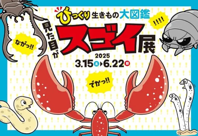 【九十九島水族館海きらら春の特別展】びっくり生きもの大図鑑 見た目がスゴイ展