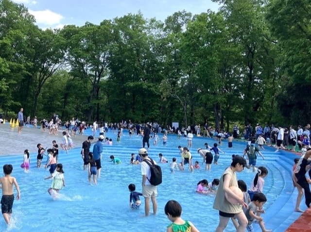 森林公園　水遊び場