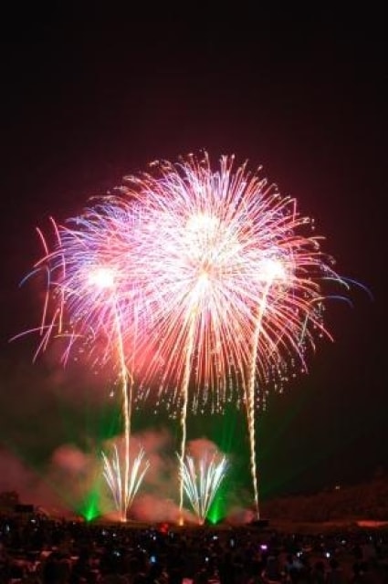 第51回吉野川祭り納涼花火大会