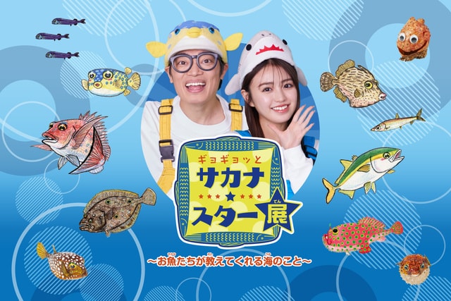 ギョギョッとサカナ★スター展～お魚たちが教えてくれる海のこと～