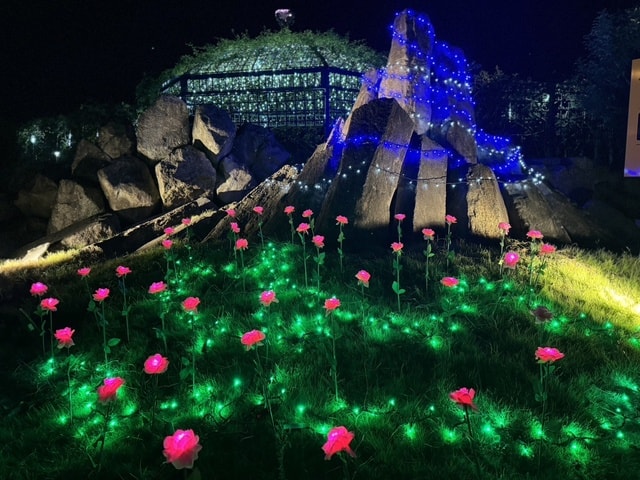 エコパーク水俣バラ園イルミネーション