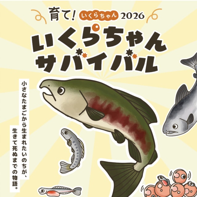重要文化財 杉本家住宅一般公開「花の京町家 秋の草花を愛でる」（9月