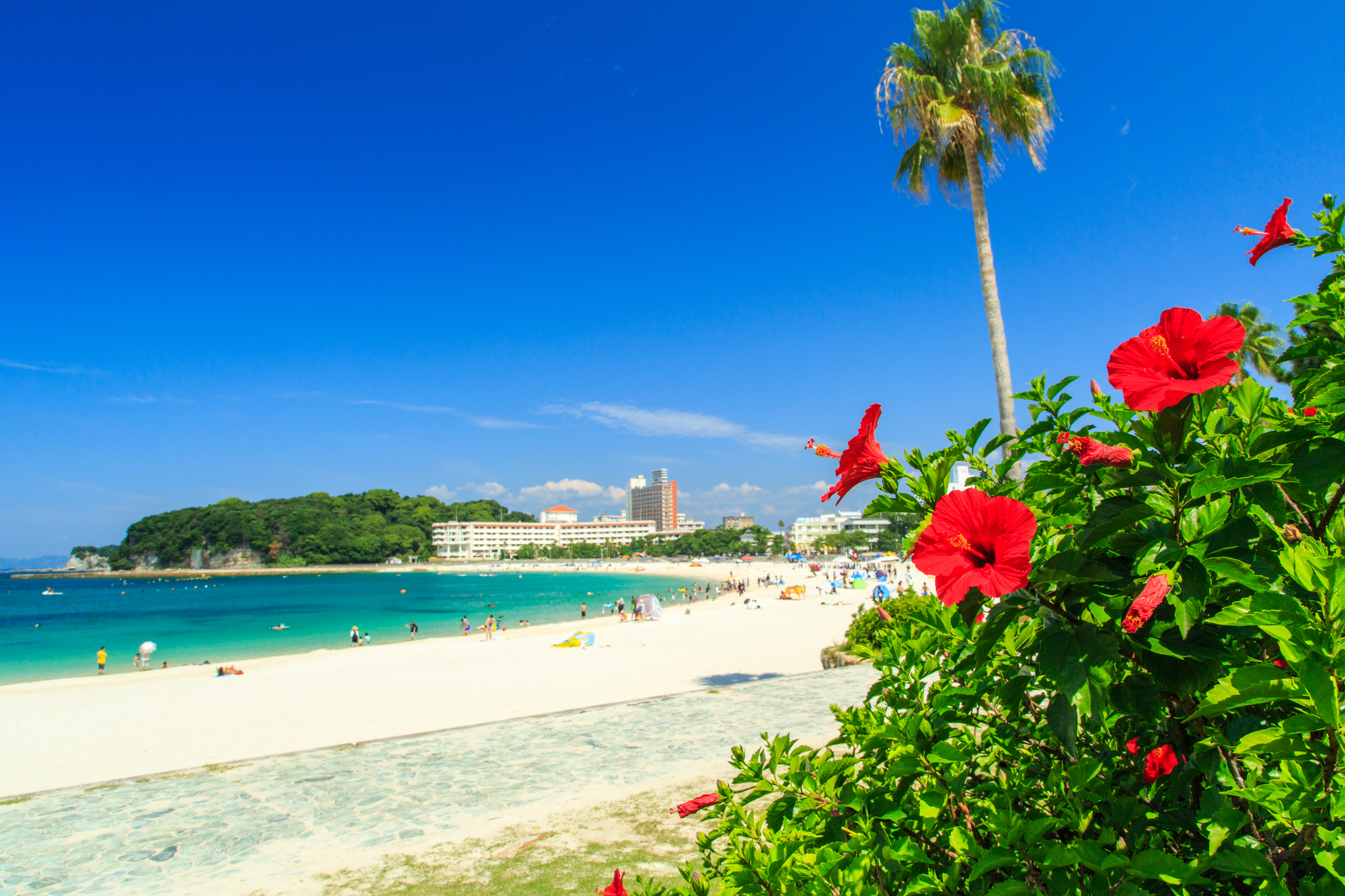 宿ランキング 2018年7 8月 ゆこゆこ で温泉旅行 宿探し