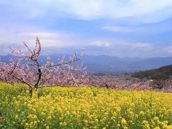 石和温泉(富士山石和温泉郷)