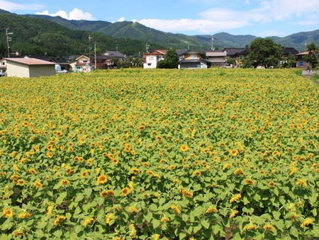 神鍋温泉