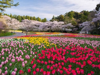 浜名湖かんざんじ(舘山寺)温泉