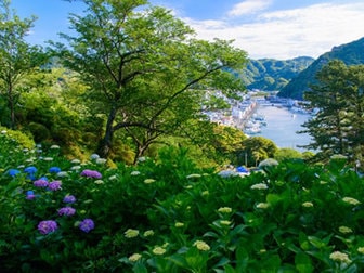 下田温泉