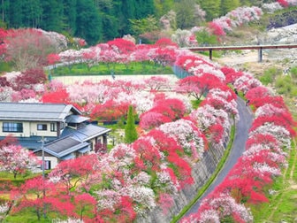 長野県 人気温泉地ランキングtop10 22年4月最新 ゆこゆこ