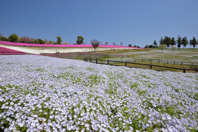藪塚温泉／田園風景の中に広がる「木枯紋次郎」の世界
