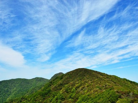 天然中伊豆温泉