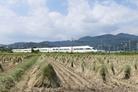 鶴巻温泉
