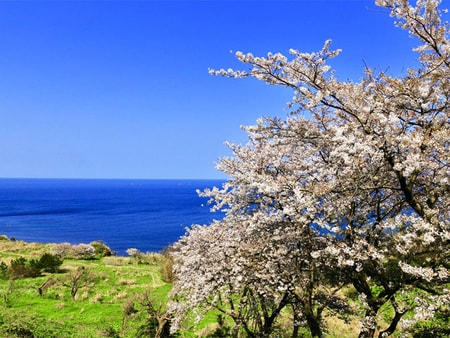 木津温泉