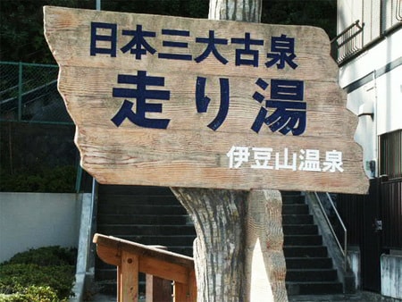 Amazon.co.jp: 伊豆国熱海温泉試験説 : おもちゃ