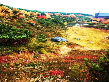 旭岳温泉