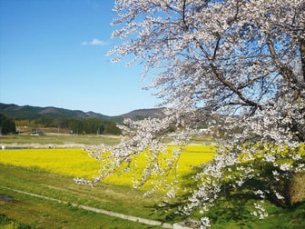 川渡温泉（鳴子温泉郷）