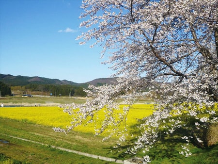 川渡温泉(鳴子温泉郷)