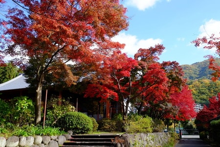 伏尾温泉