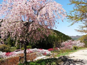 奥天竜　不動温泉