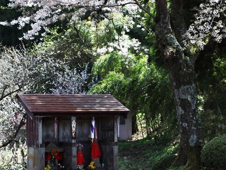 湯田川温泉