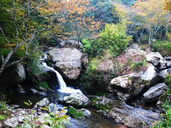 ASOBIYUKU 京都るり渓温泉