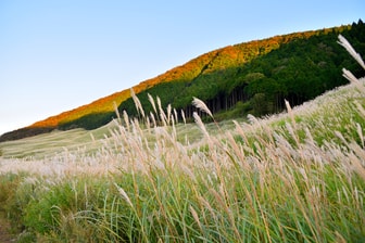 箱根仙石原　俵石温泉
