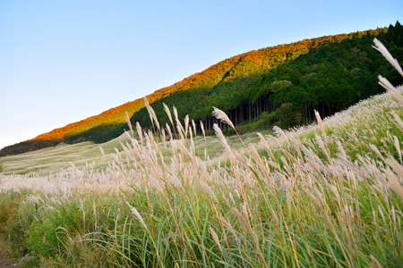 箱根仙石原 俵石温泉