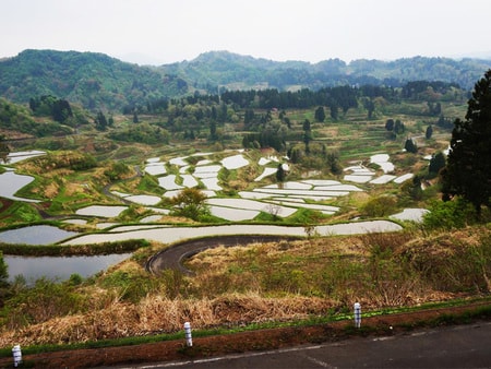 まつだい芝峠温泉