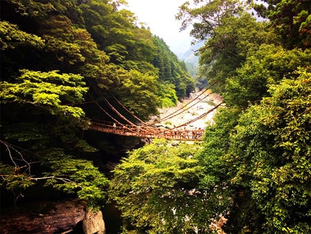 大歩危祖谷阿波温泉