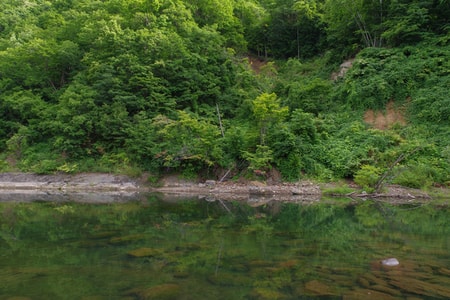 小金湯温泉