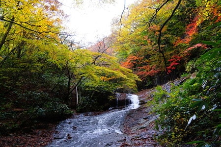 野地温泉