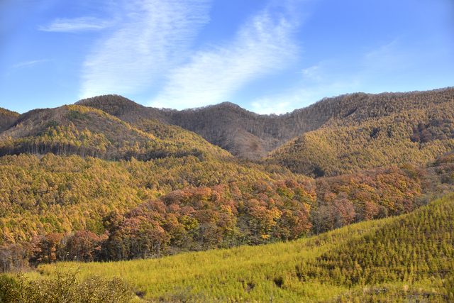 浅間高原温泉/浅間山の裾野に広がる高原に湧き出る温泉地