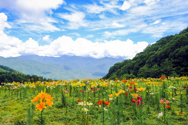 土出温泉/尾瀬散策やスキーリゾートの拠点におすすめの温泉地
