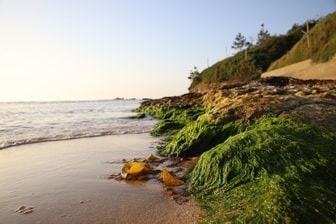 八丁浜小浜温泉