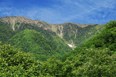 奈良田の里温泉