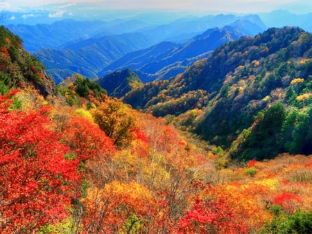 秩父・西谷津温泉