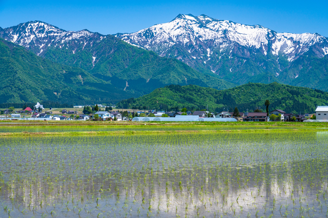 大沢山温泉/米どころに湧く予約困難な温泉宿の天然温泉