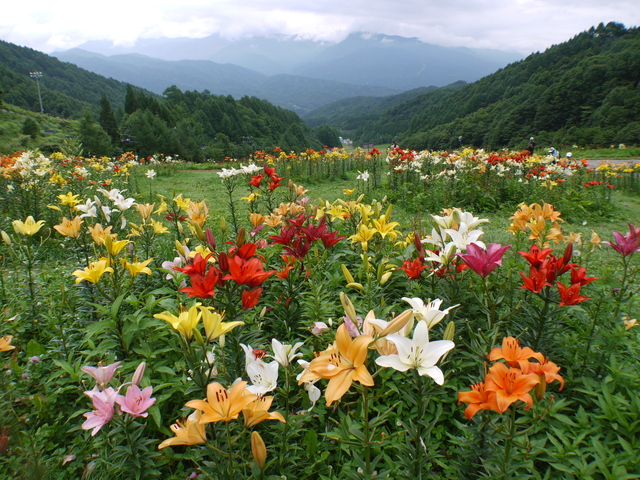 尾瀬・土出温泉/ウインタースポーツの疲れを癒やす、リゾート地の温泉
