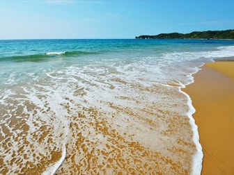 源泉の温泉宿 関西・中国・四国・九州編: 温泉はお湯で選べ! (JAF 関西・中国・四国】5月6月におすすめの日帰り温泉8選！新緑露天