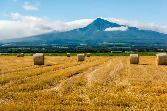 清里温泉/北海道の「清里」から斜里岳を眺める天然温泉