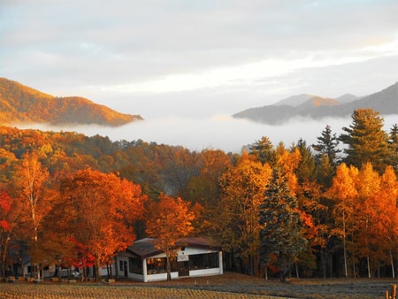 富良野 島の下温泉