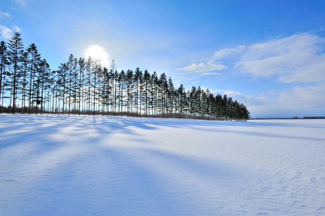 ナウマン温泉/ナウマン象発掘復元の地で入る美肌の湯