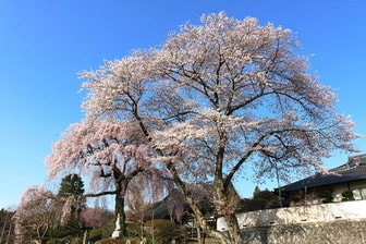 泉崎さつき温泉