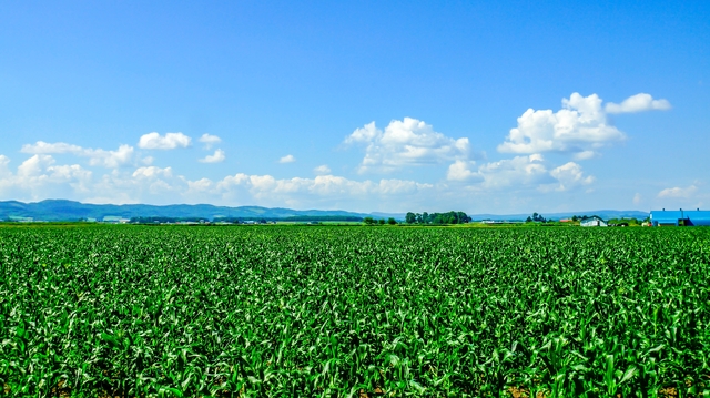 剣淵温泉/美しい自然に囲まれた絵本の町で入る温泉地